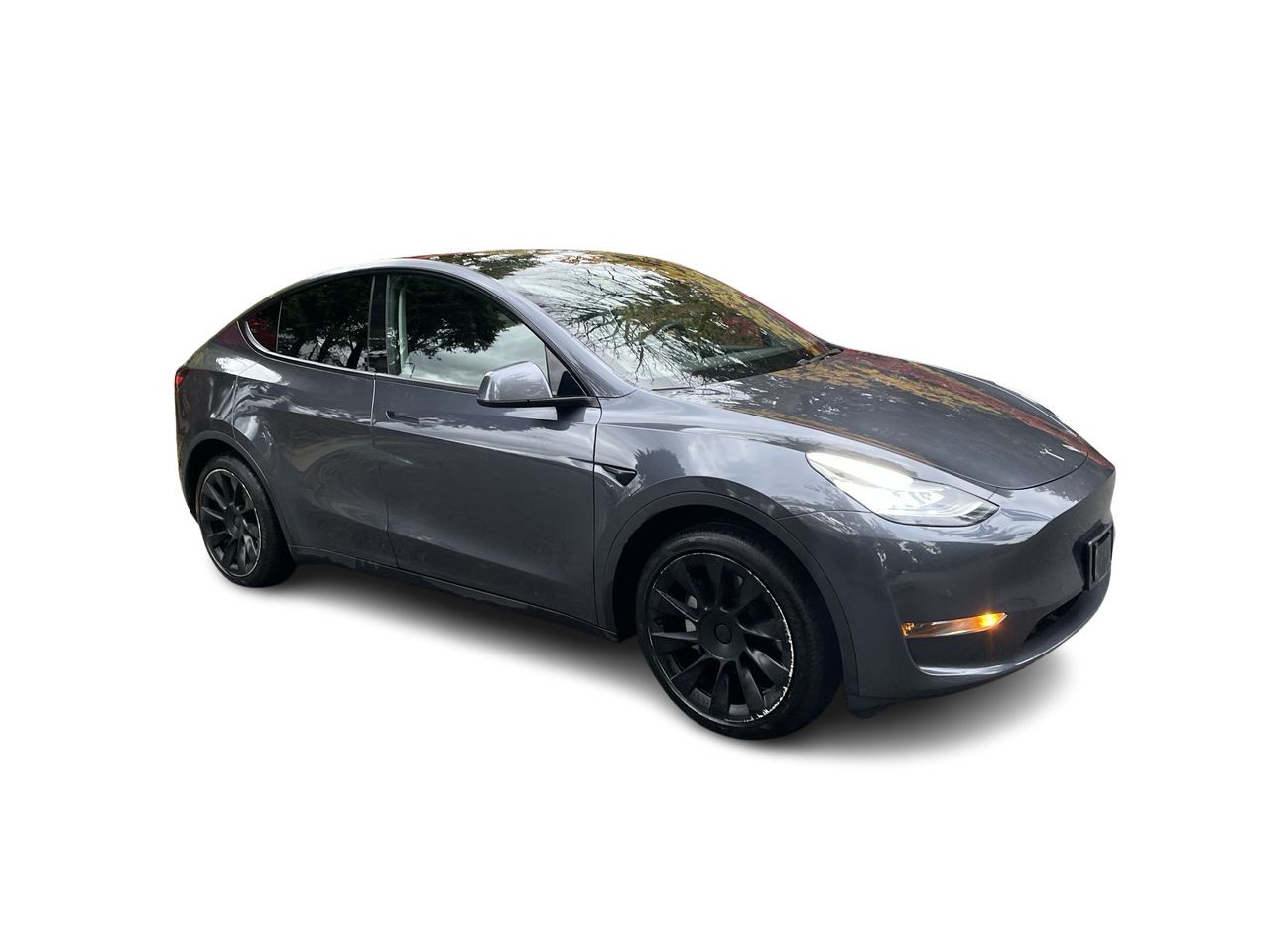 2020 Tesla Model Y