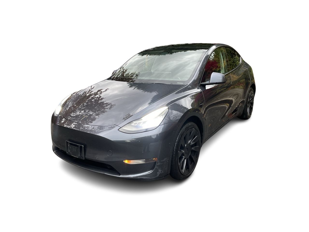 2020 Tesla Model Y