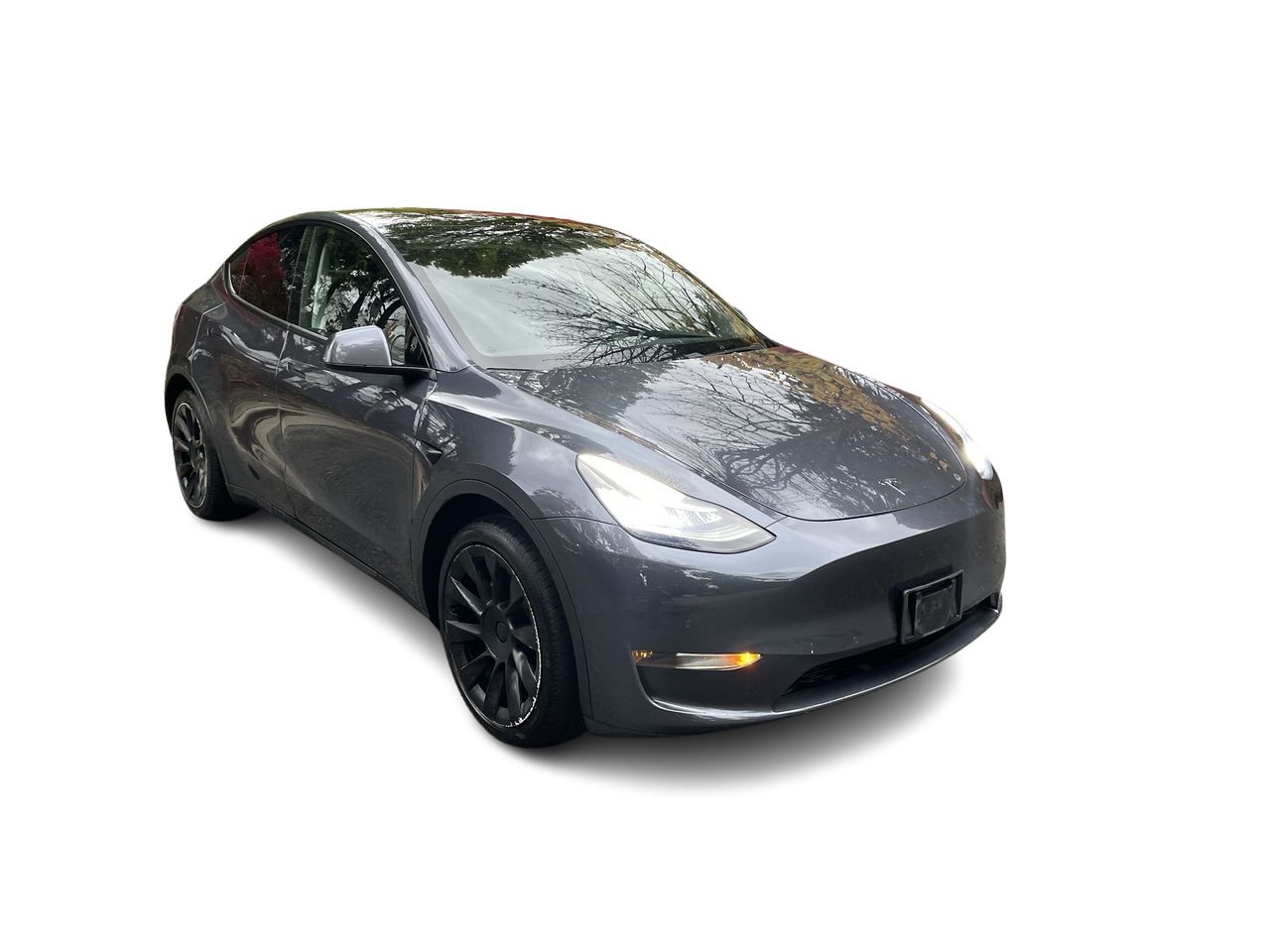 2020 Tesla Model Y