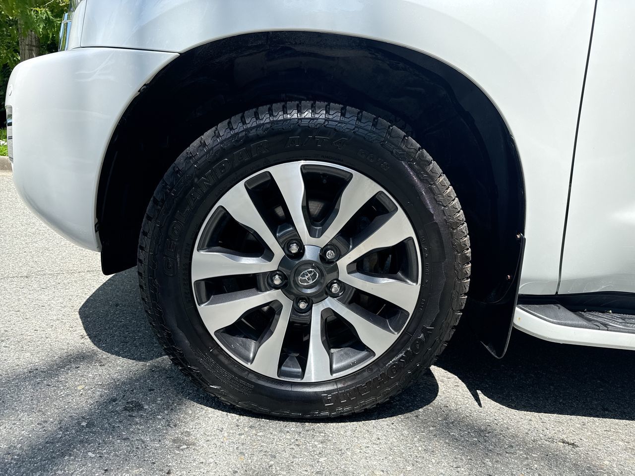 2022  Sequoia