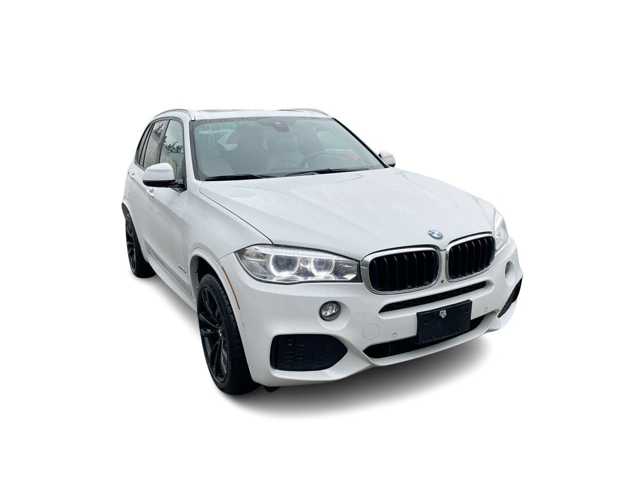 2018 BMW X5 in Richmond, British Columbia