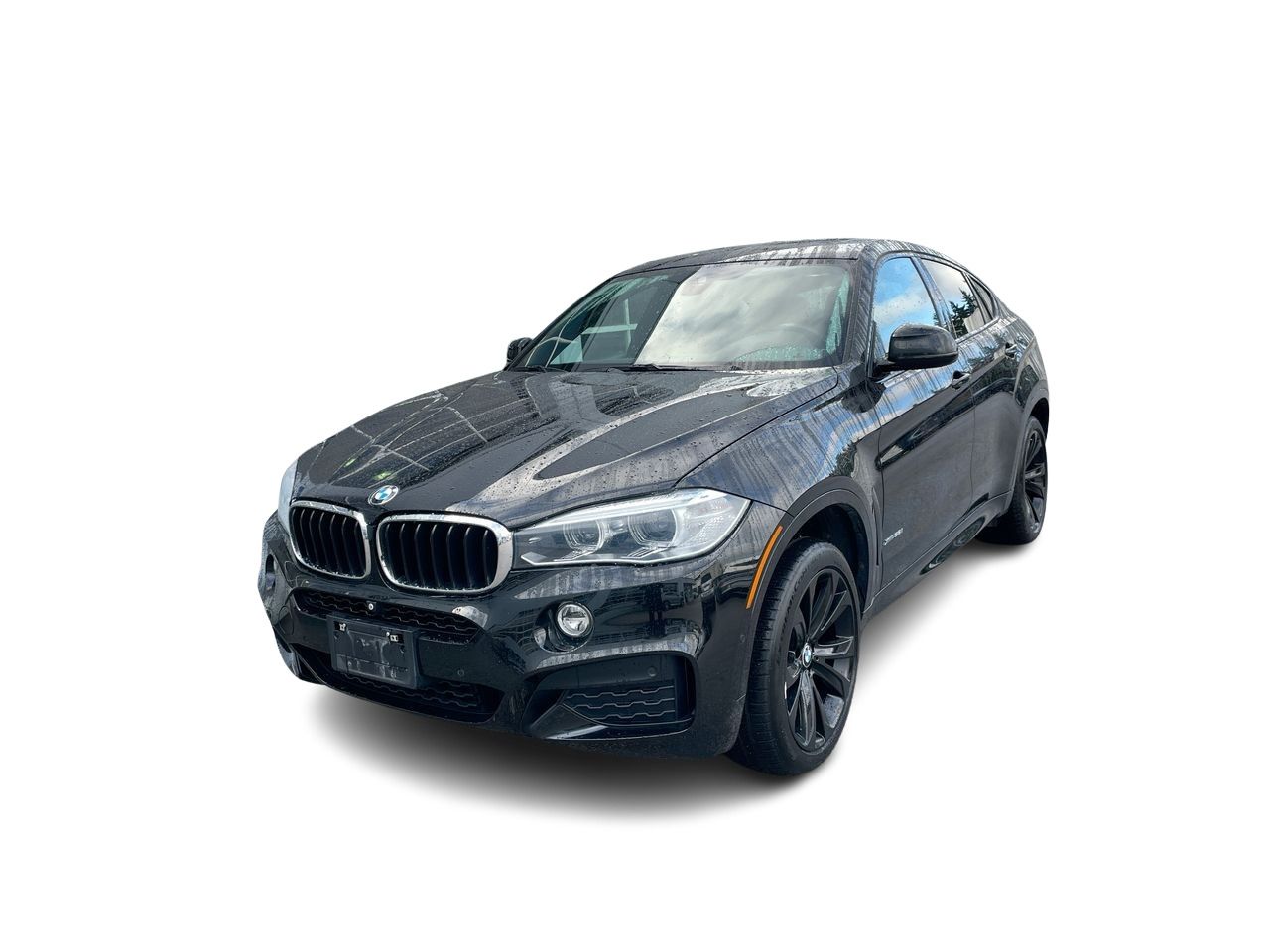 2017 BMW X6 in Richmond, British Columbia
