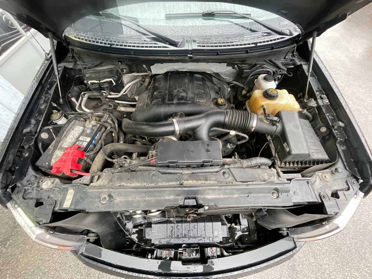 2013 Ford F150 in Richmond, British Columbia