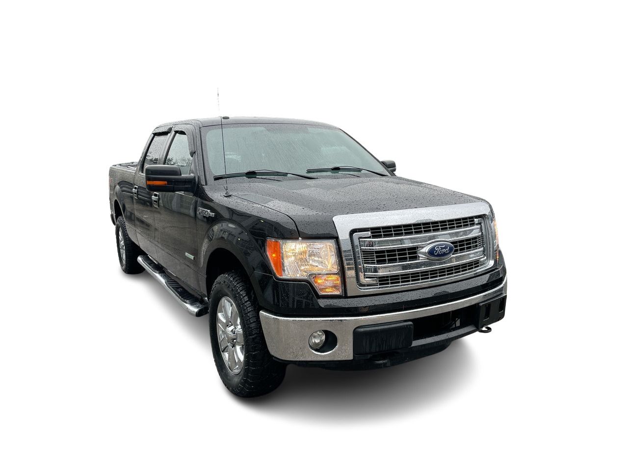 2013 Ford F150 in Richmond, British Columbia