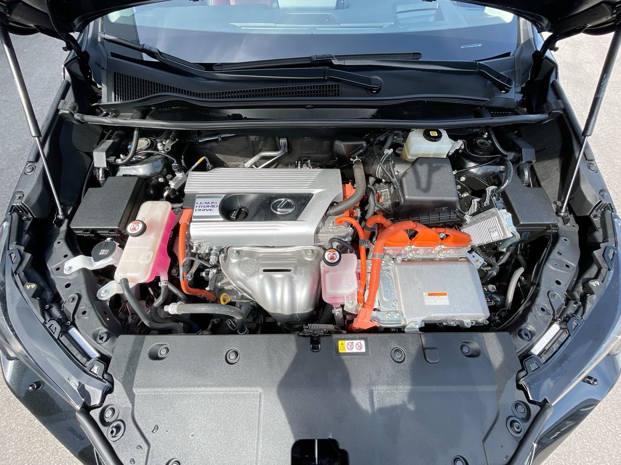 2021 Lexus NXH in Richmond, British Columbia