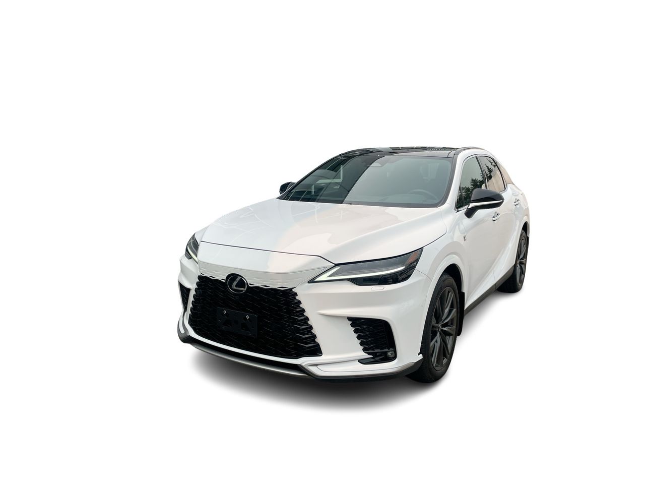 2025 Lexus RX