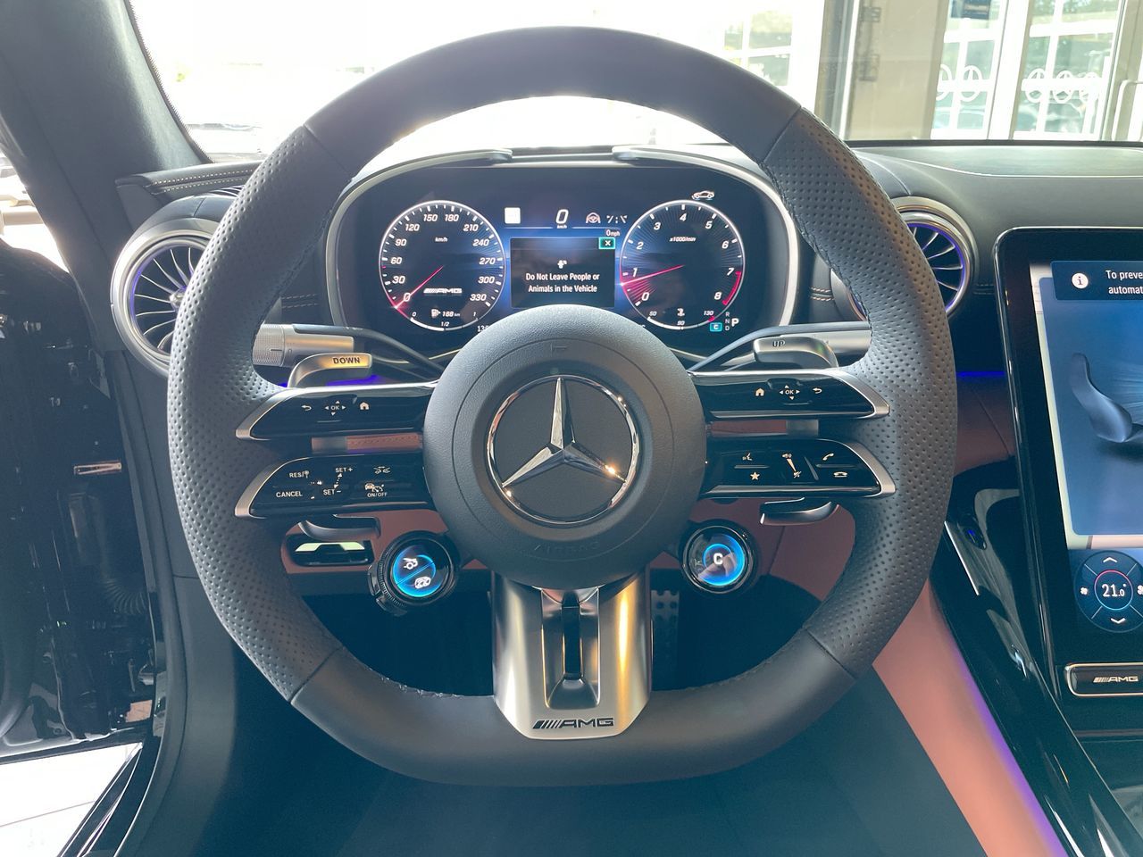 2025 Mercedes-Benz AMG GT 2 Door in Richmond, British Columbia