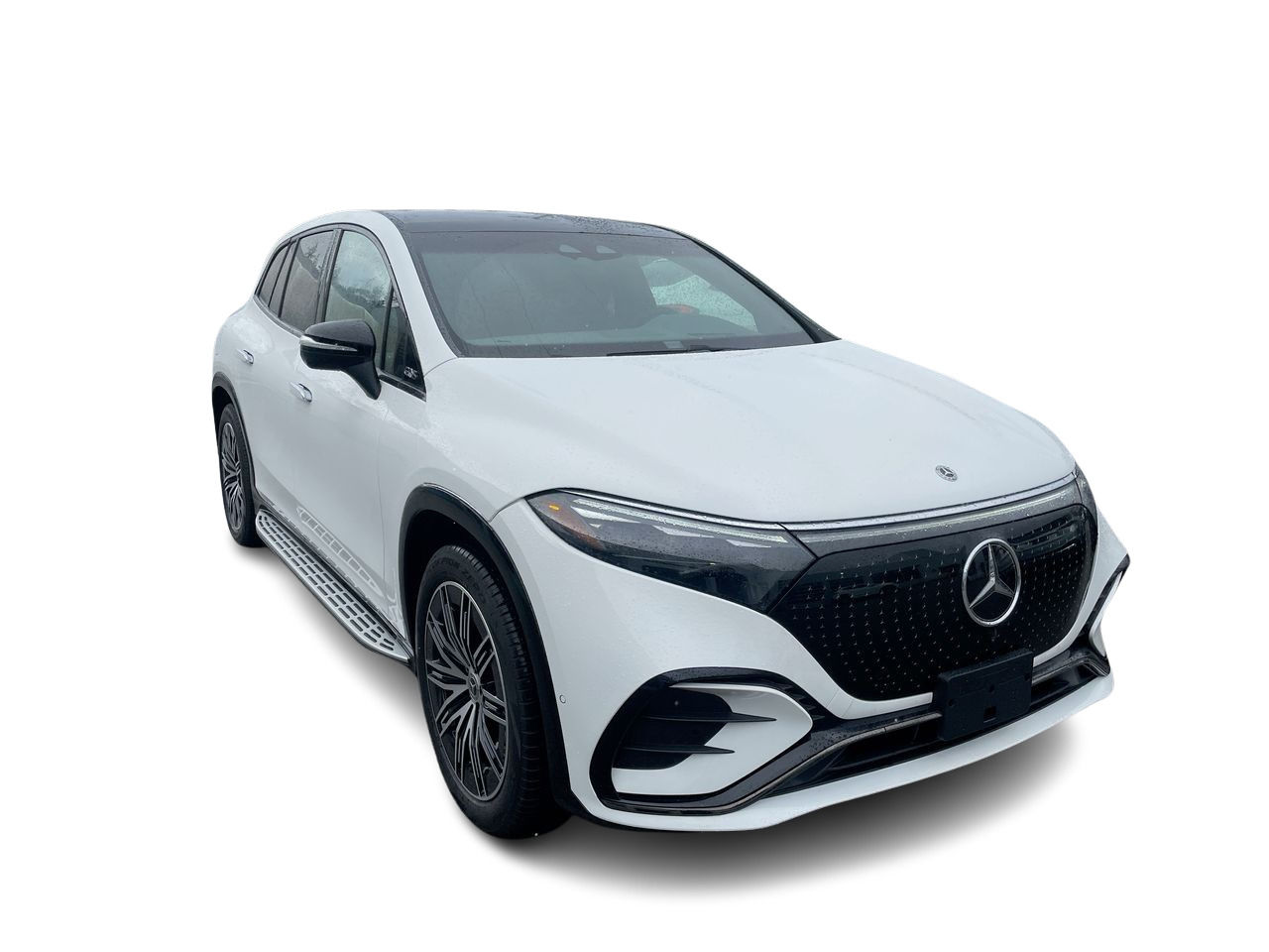 2025 Mercedes-Benz EQS in Richmond, British Columbia