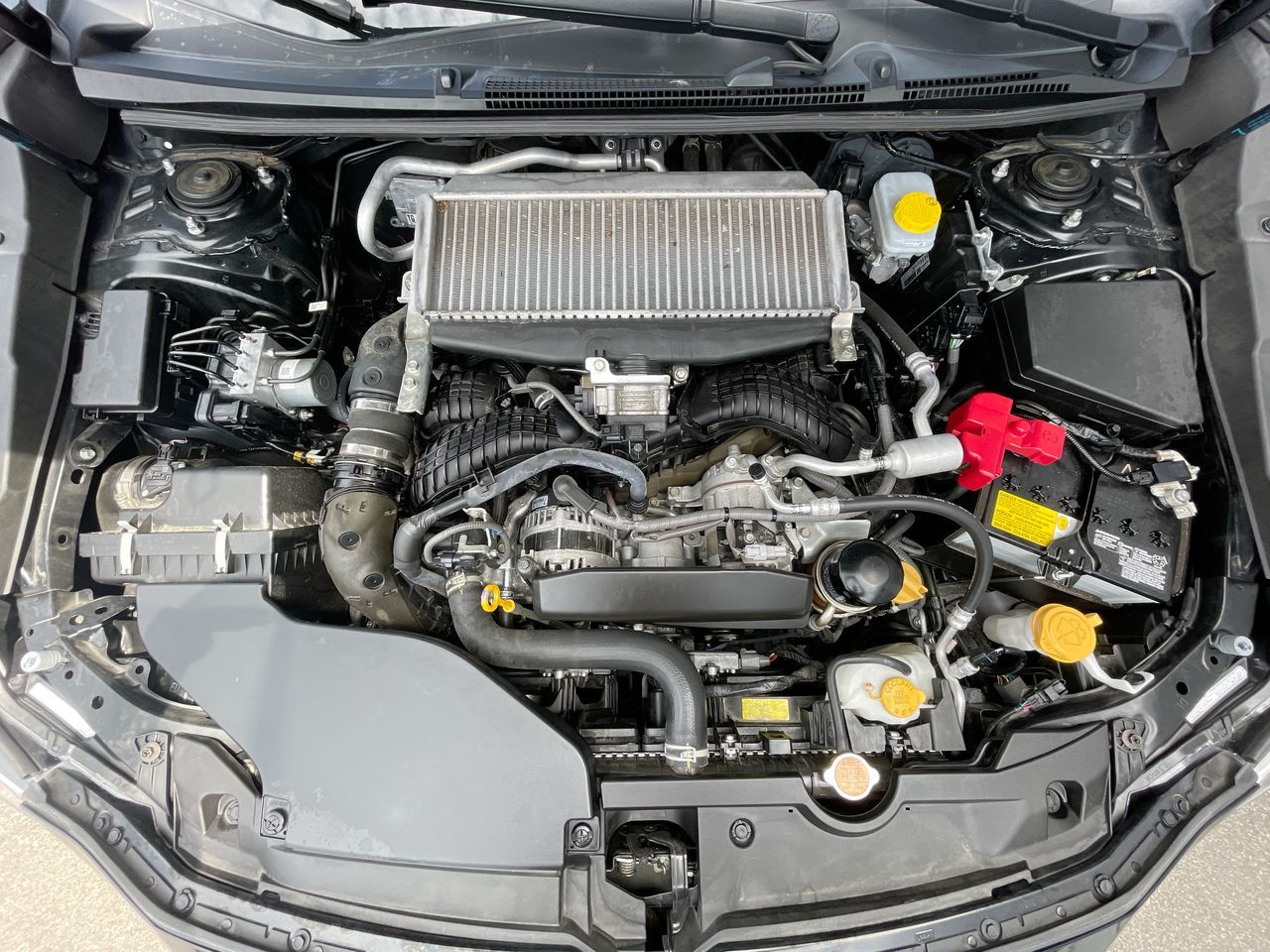 2023 Subaru WRX