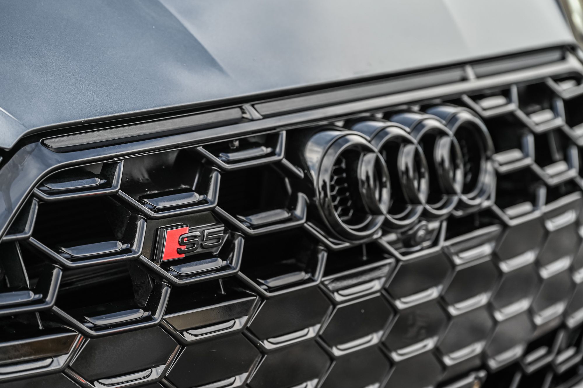 Audi S5 Sportback  2024