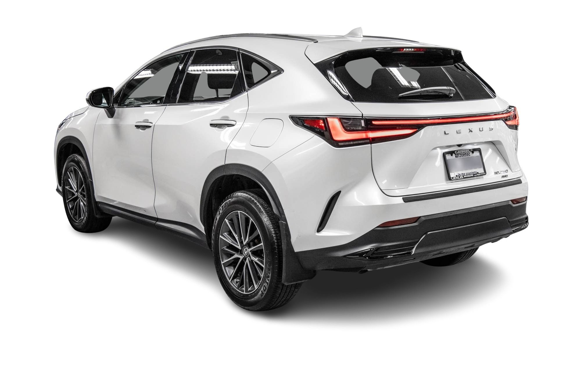 Lexus NX  2022