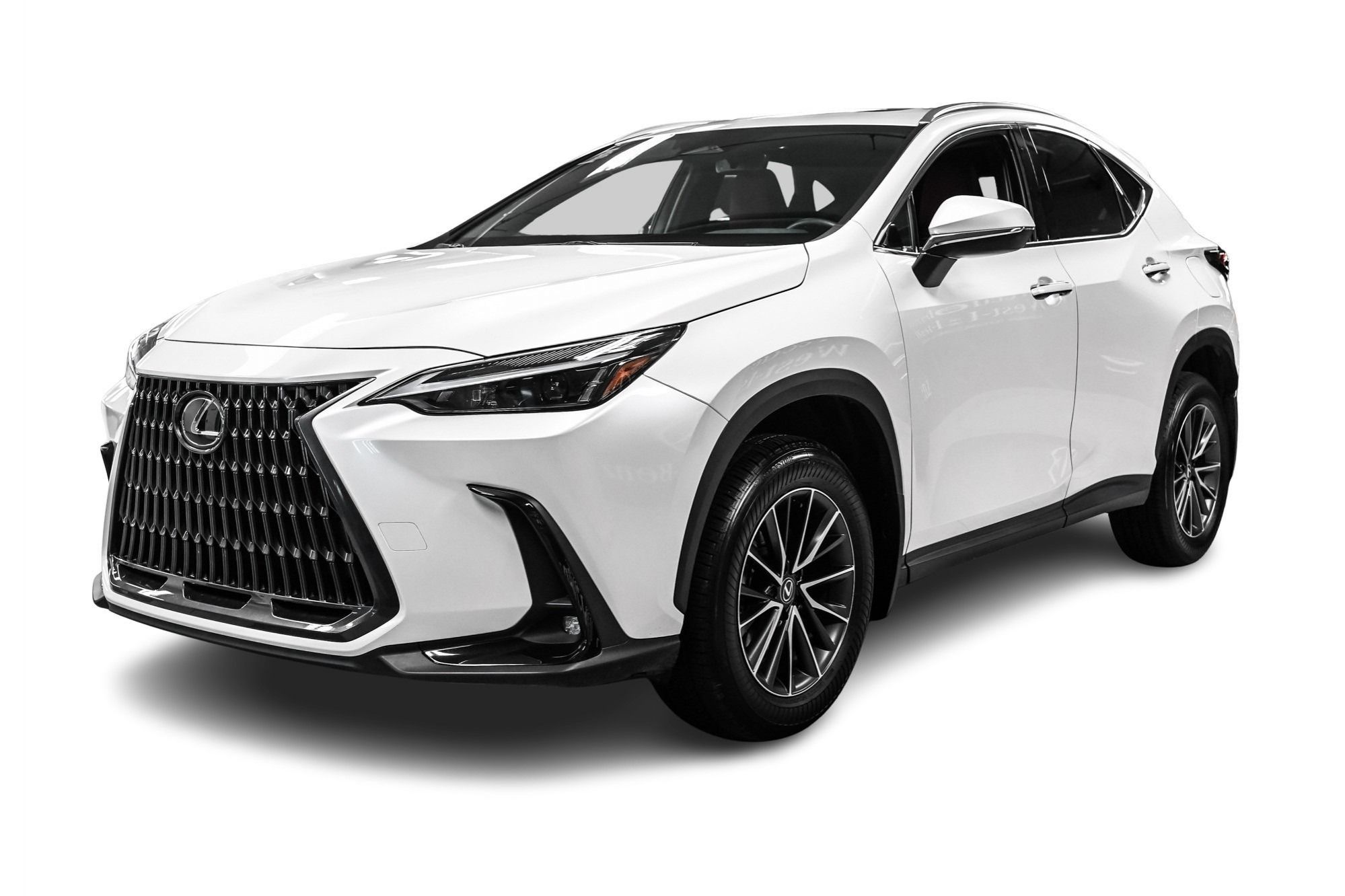2025 Lexus NX