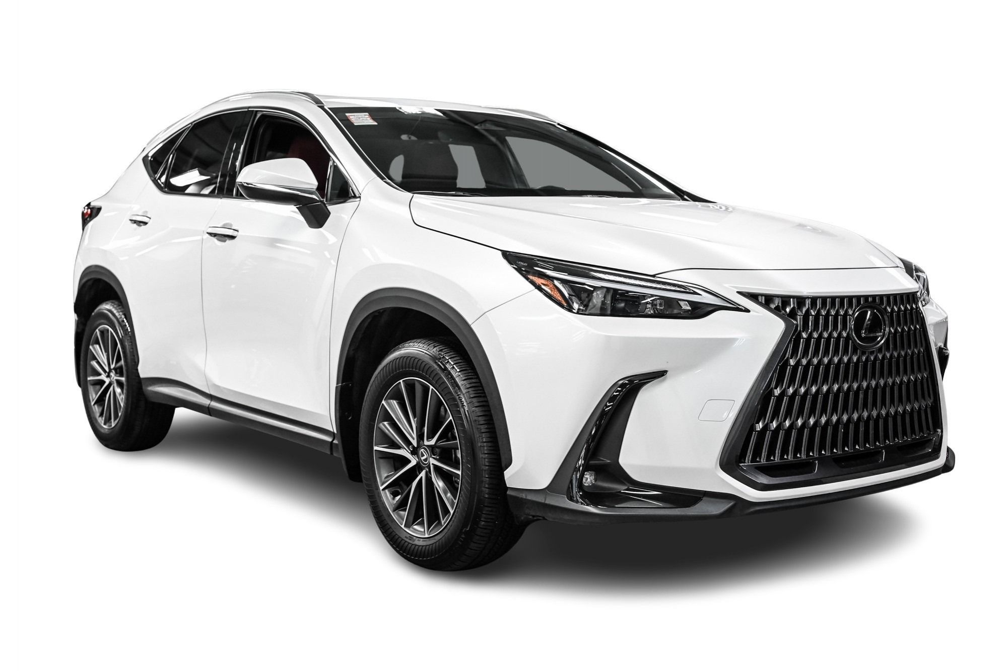 2025 Lexus NX