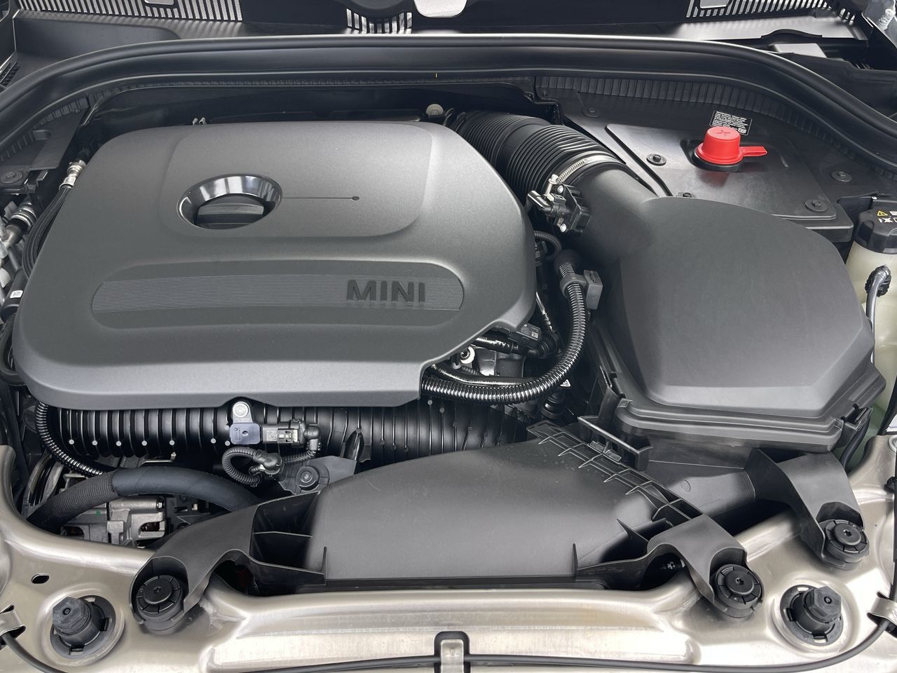 2026 MINI Cooper Convertible in Calgary, Alberta