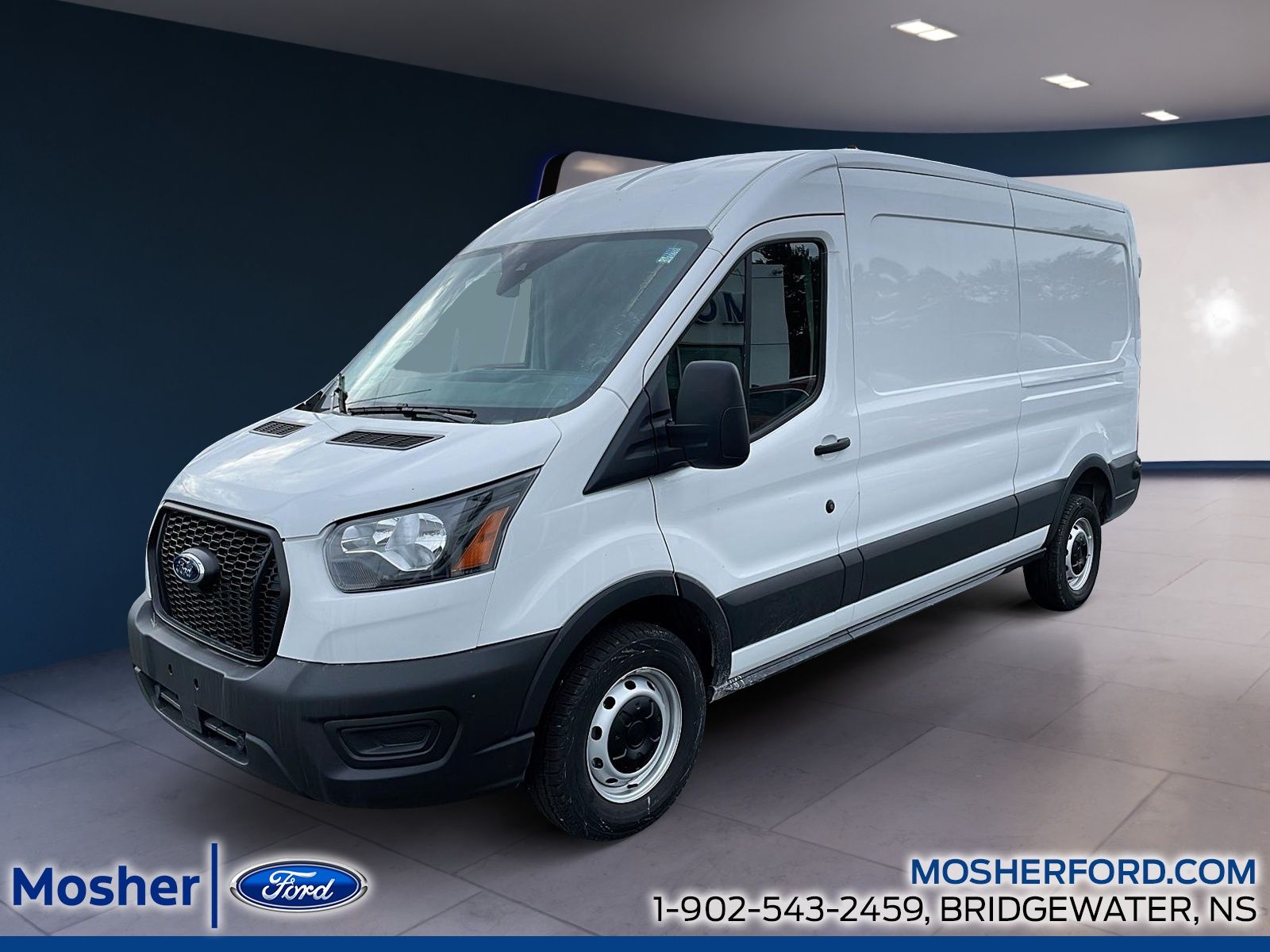 2025 Ford Transit Cargo Van