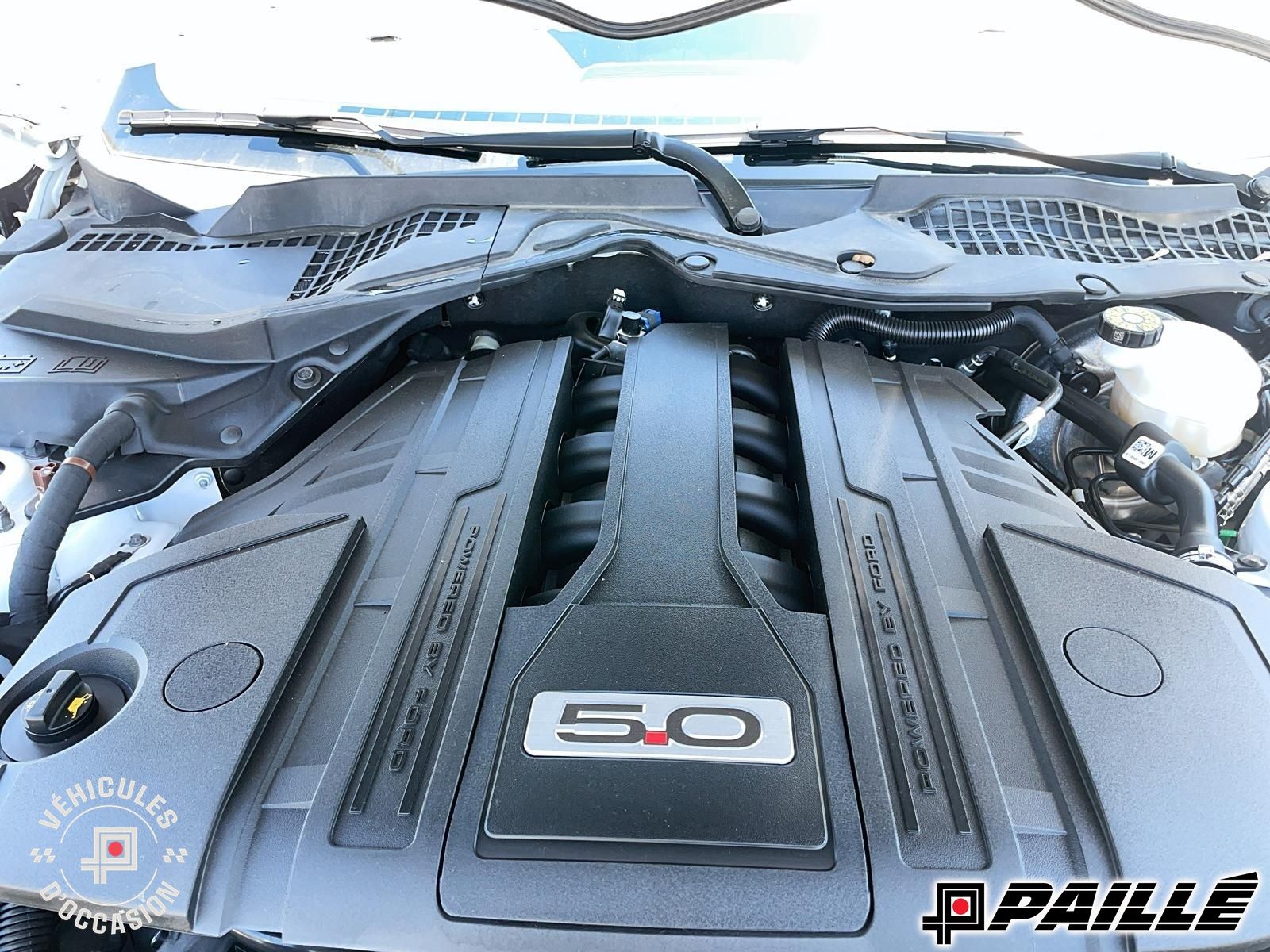 Ford Mustang  2022 à Sorel-Tracy, Québec