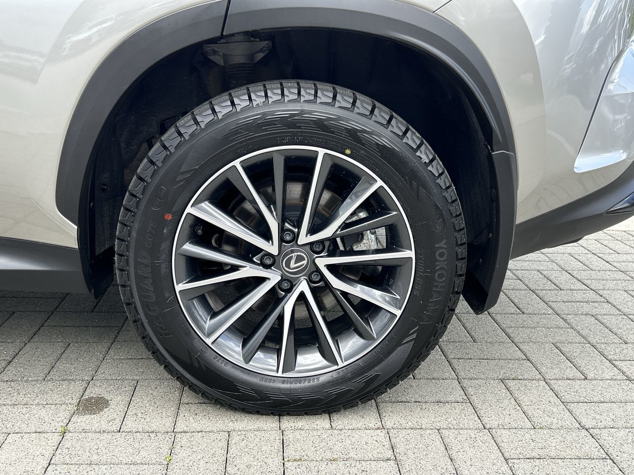 2024 Lexus NX 450h in North Vancouver, British Columbia