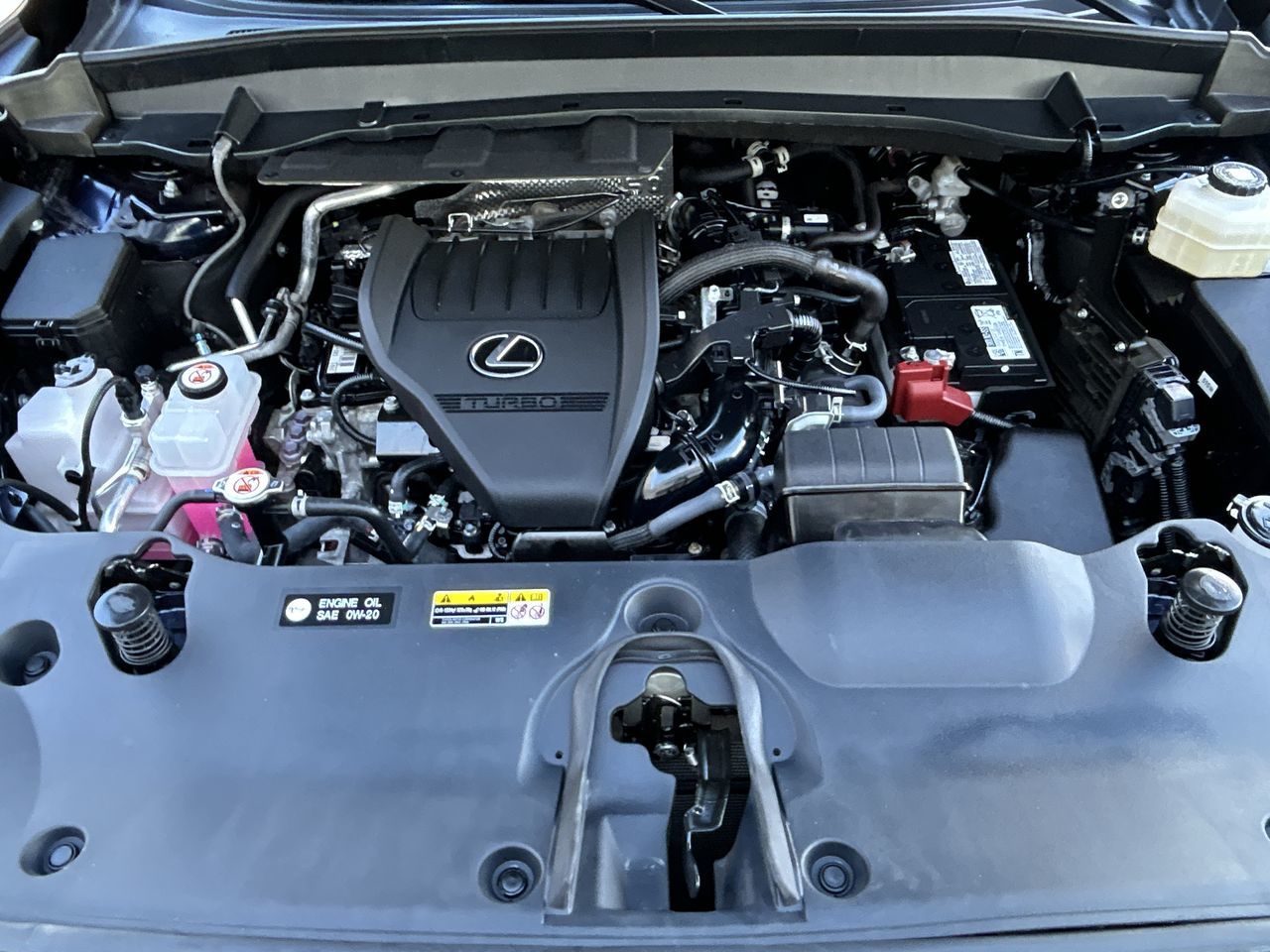2024 Lexus TX