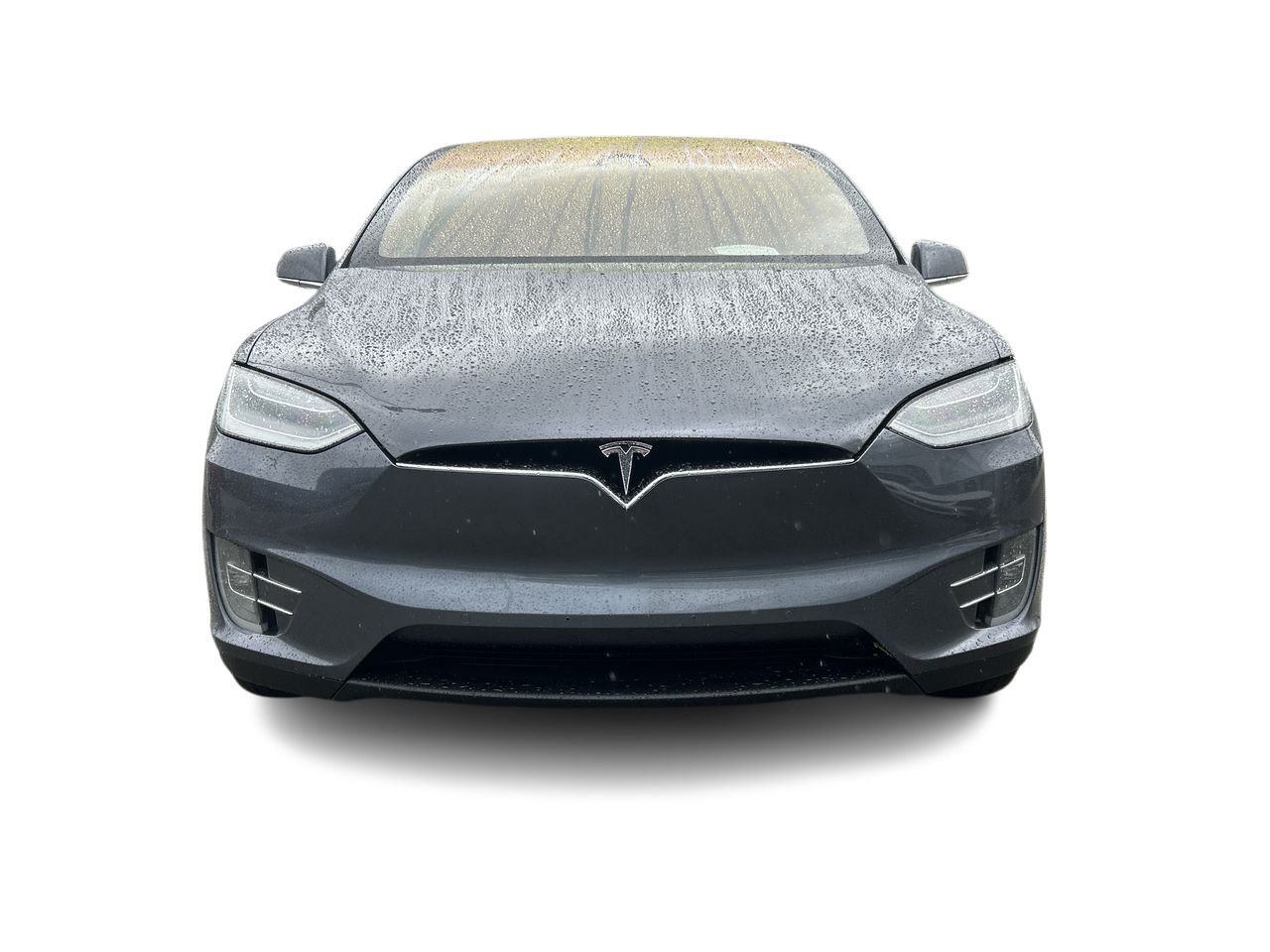 2020 Tesla Model X
