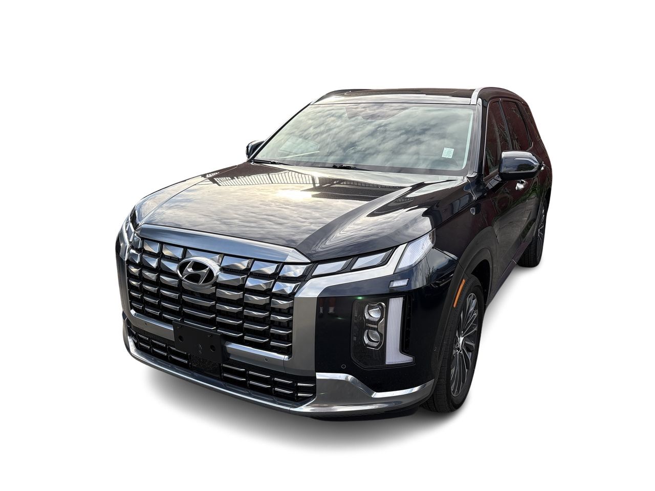 2025  Palisade