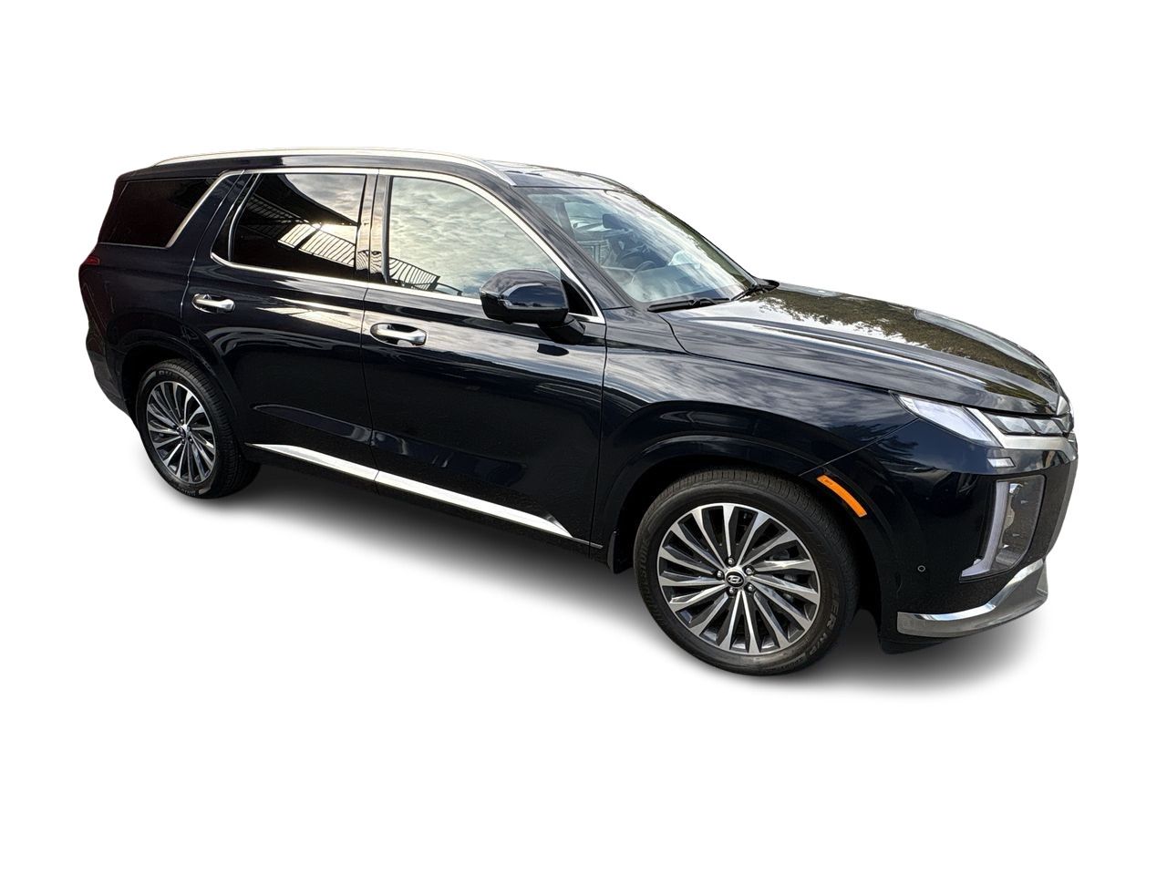 2025  Palisade