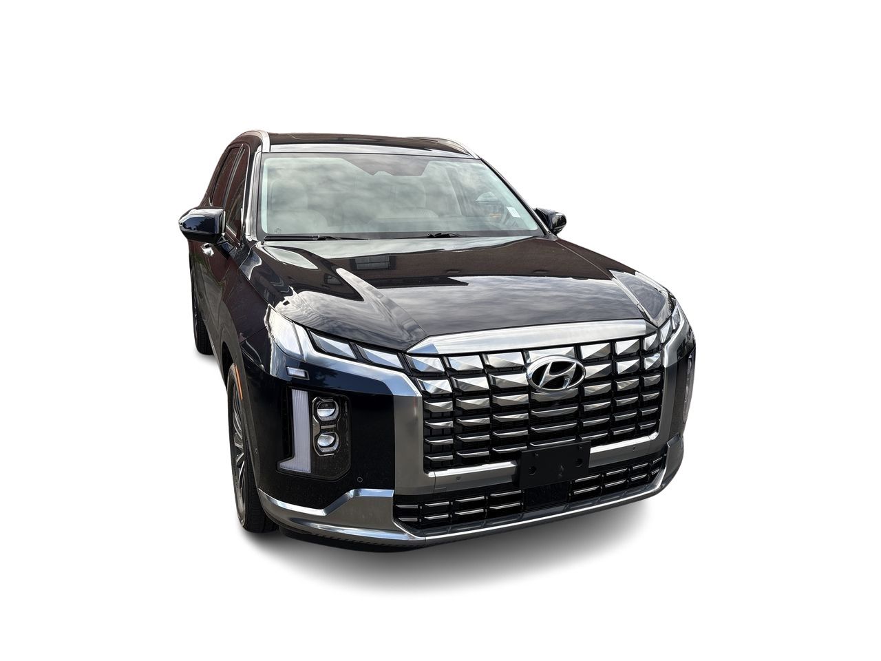 2025  Palisade