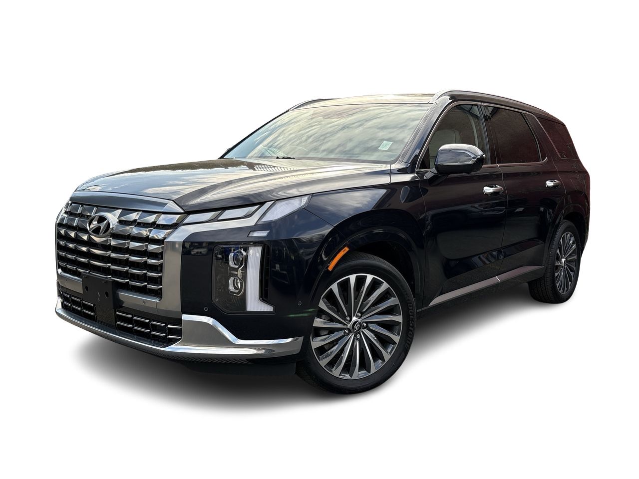 2025  Palisade
