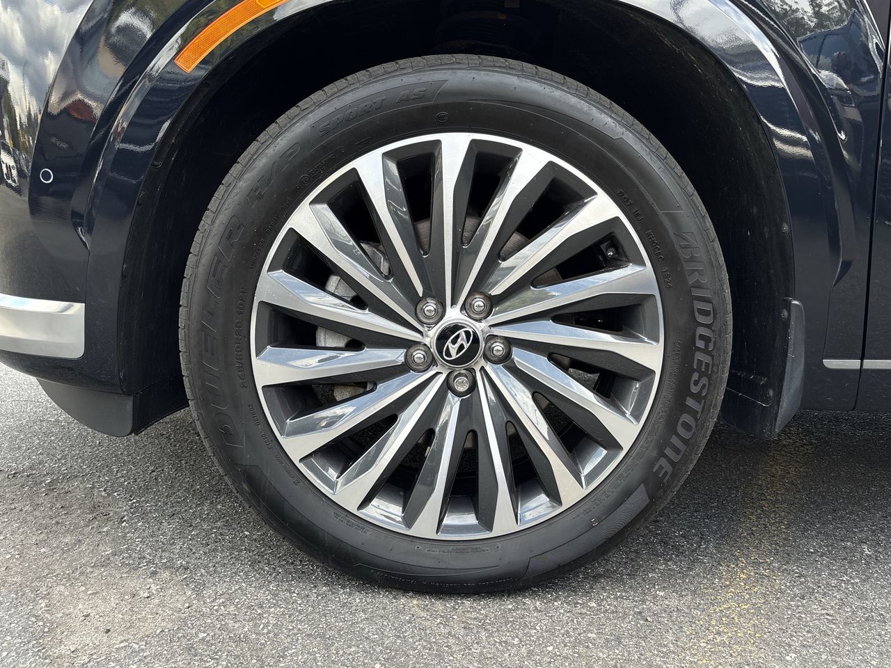 2025  Palisade