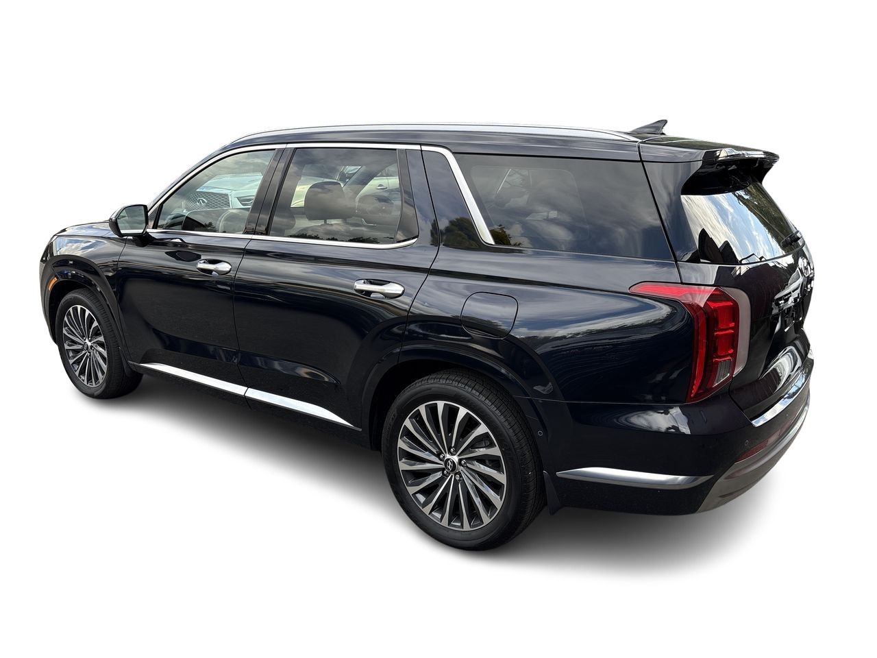 2025  Palisade