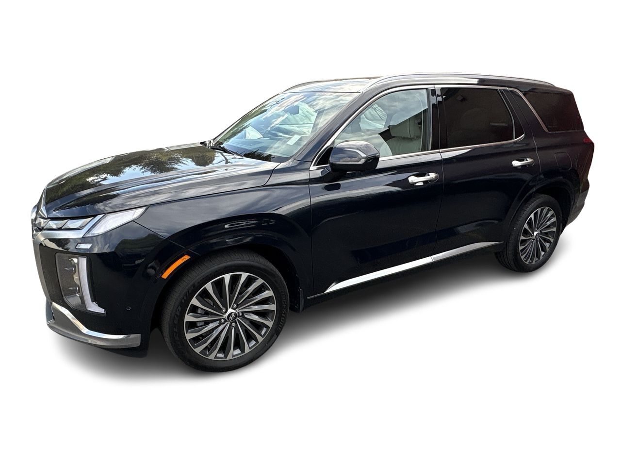 2025  Palisade