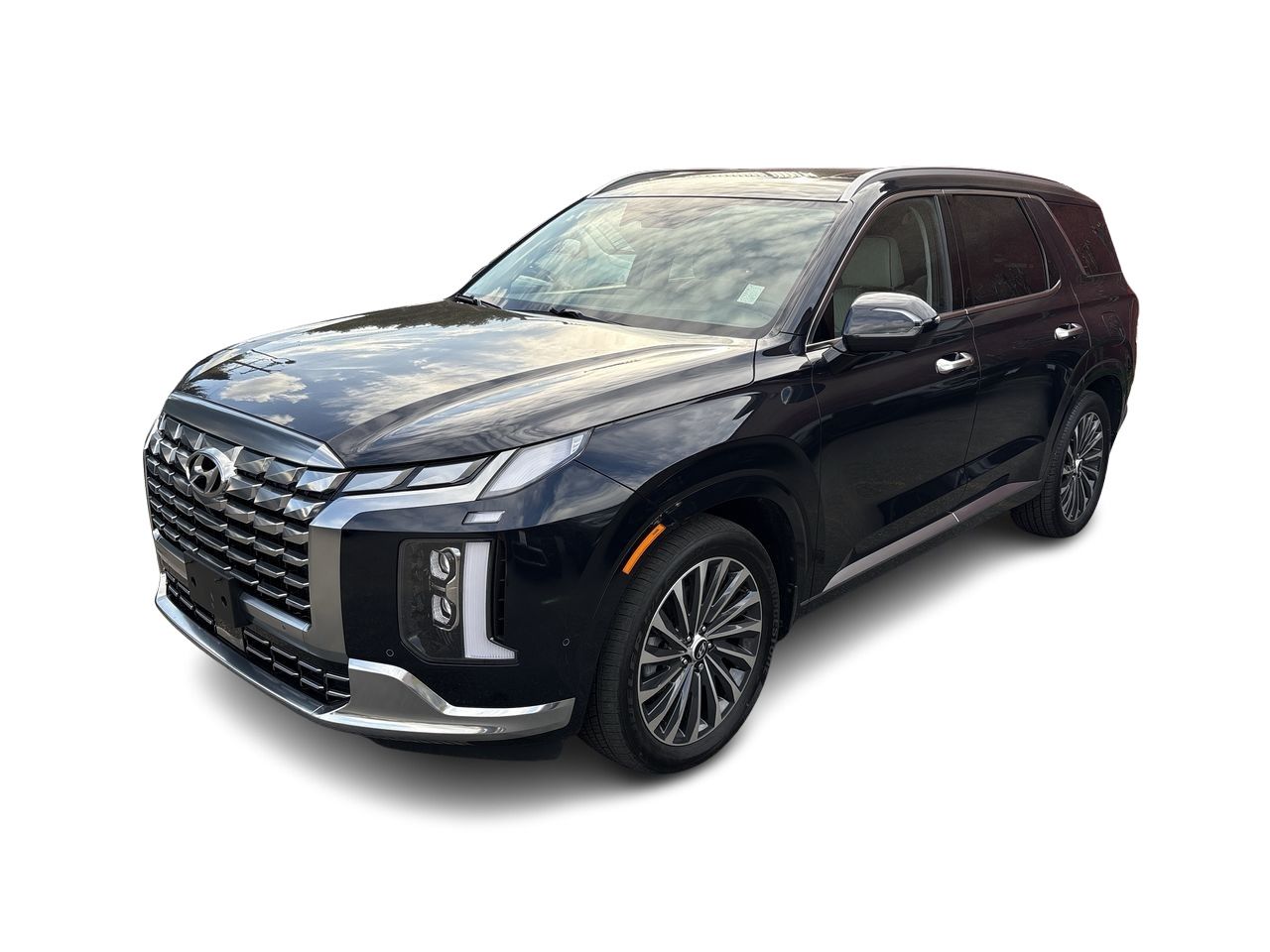 2025  Palisade