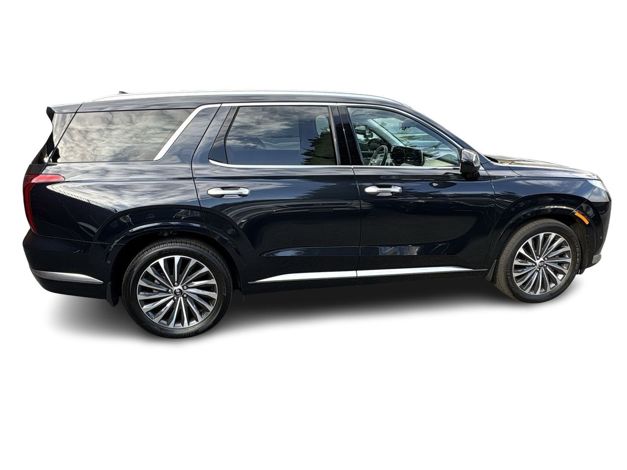 2025  Palisade