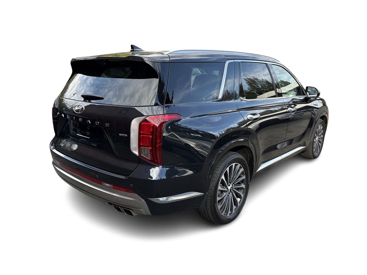 2025  Palisade