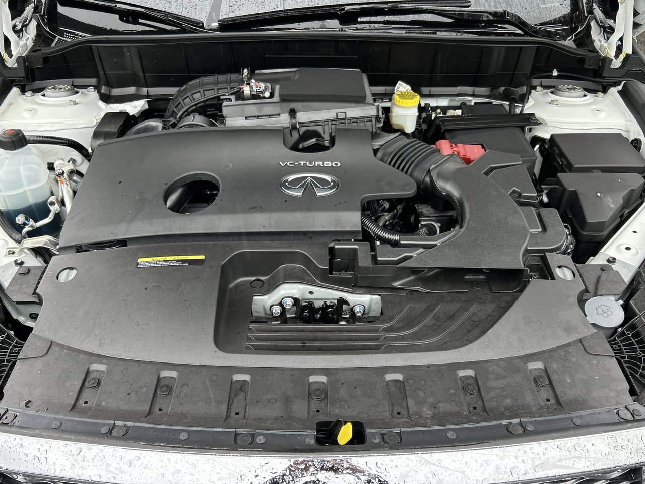 2025  QX50