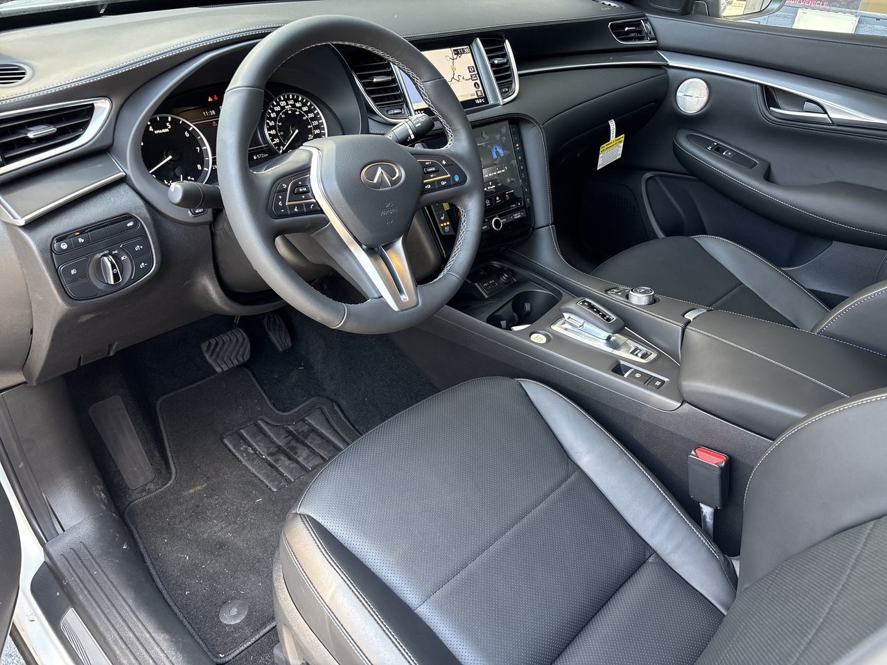 2025  QX55