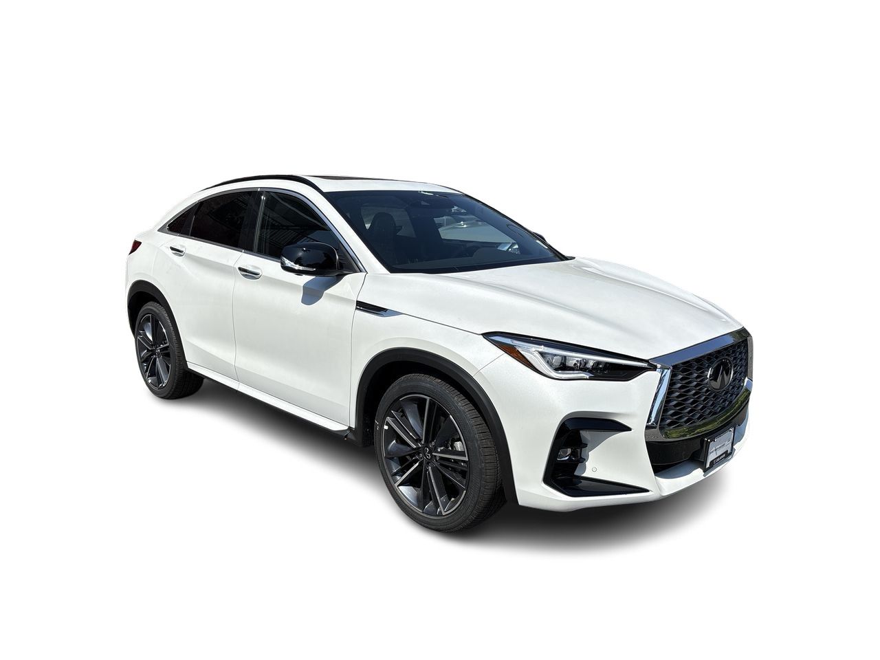 2025  QX55