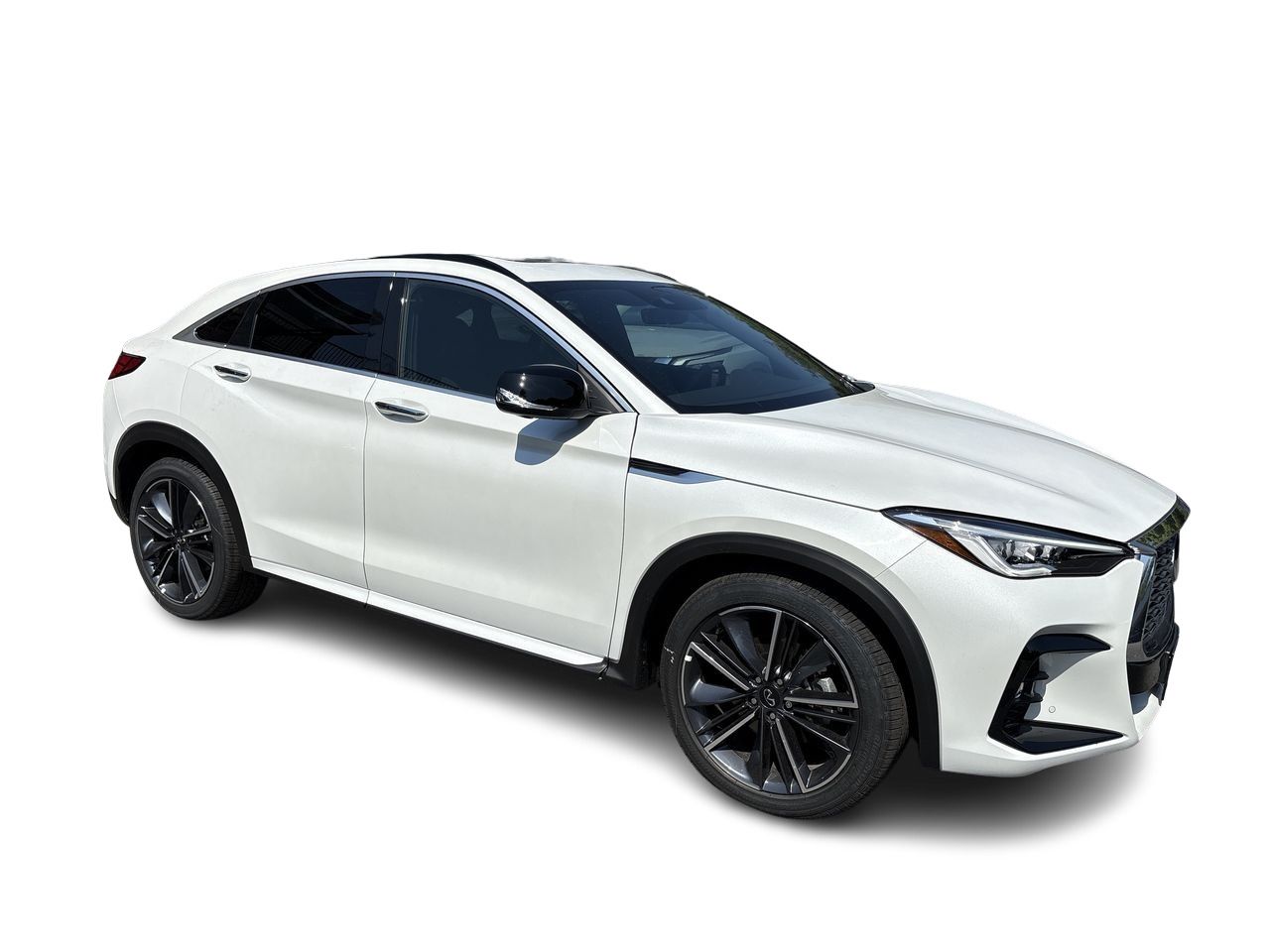 2025  QX55