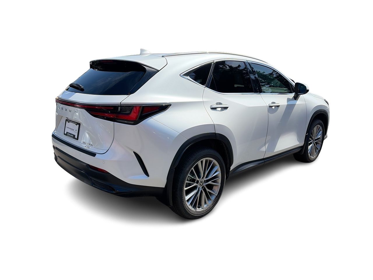 2025 Lexus NX