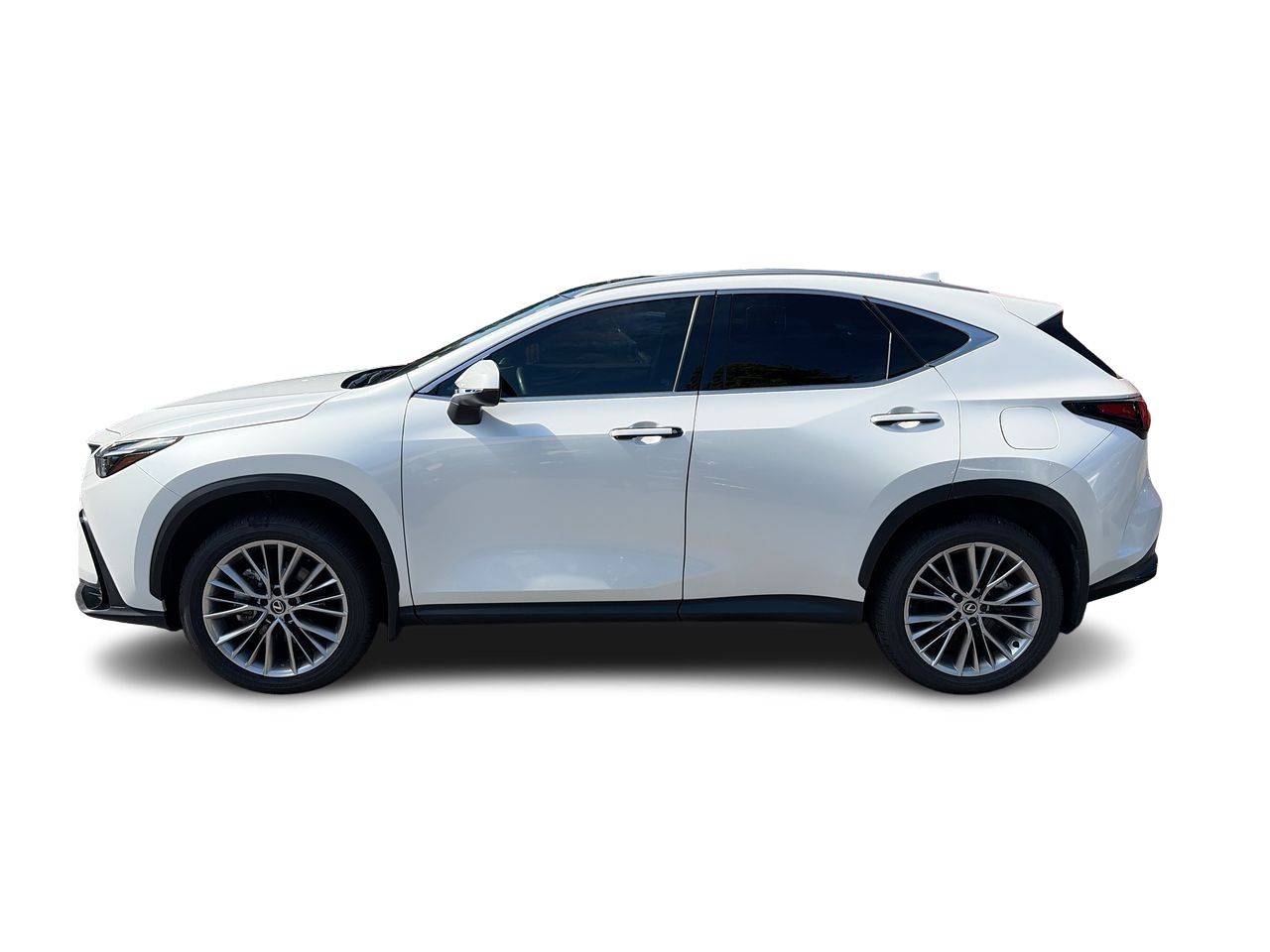 2025 Lexus NX