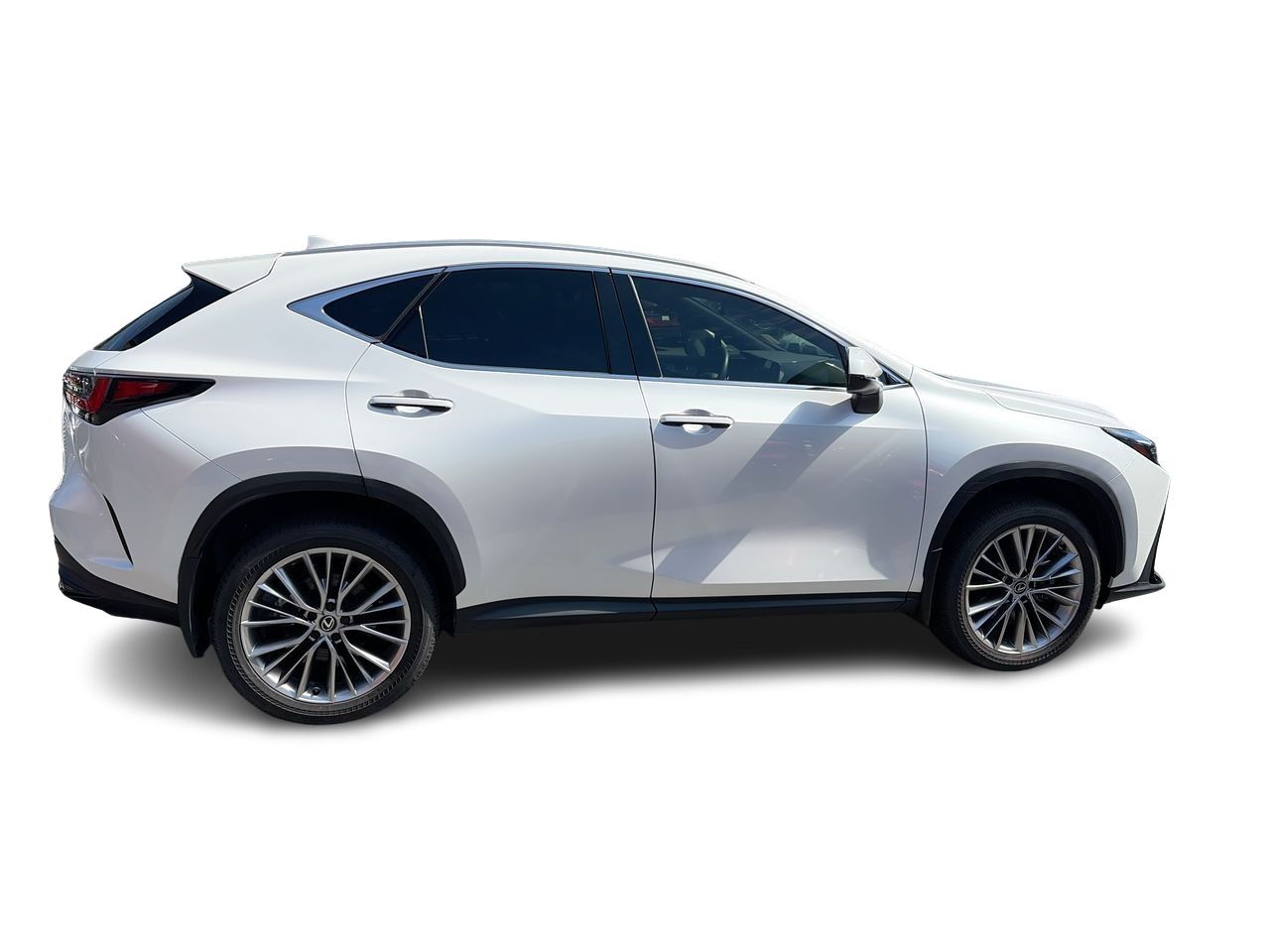 2025 Lexus NX