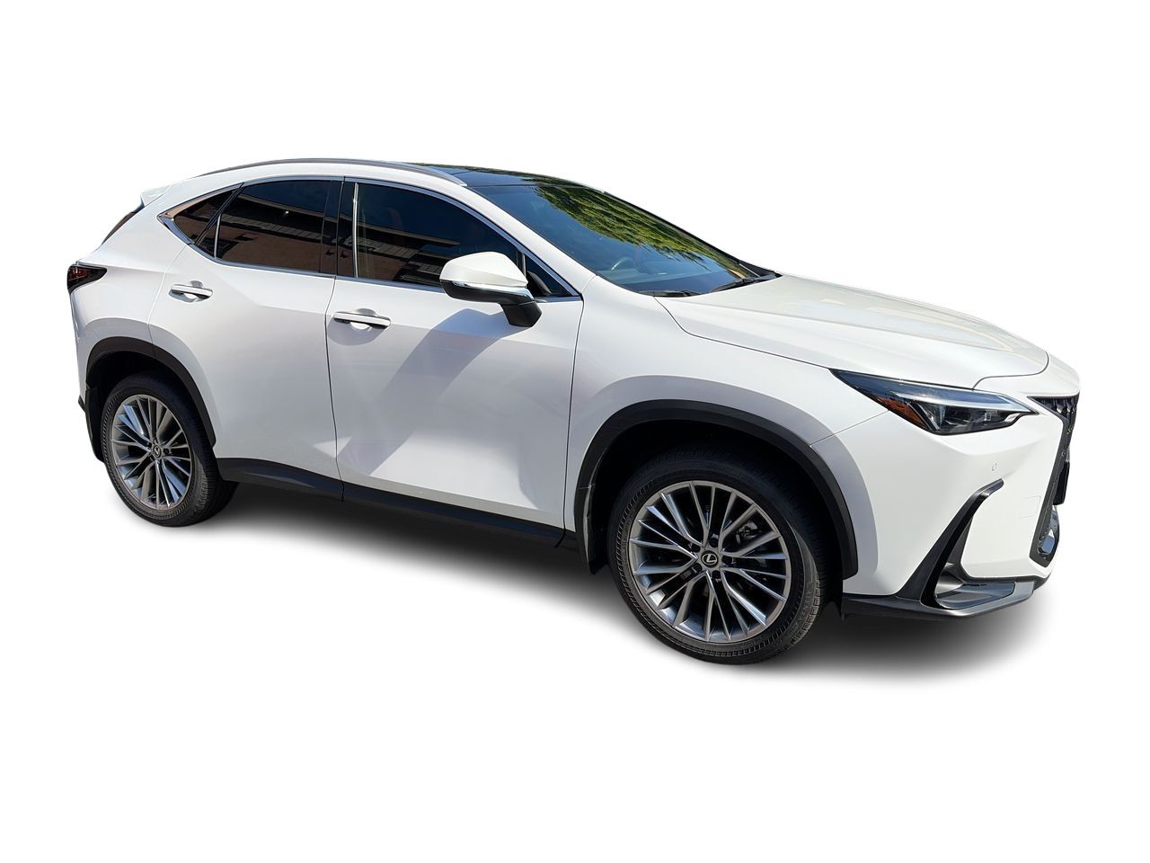 2025 Lexus NX