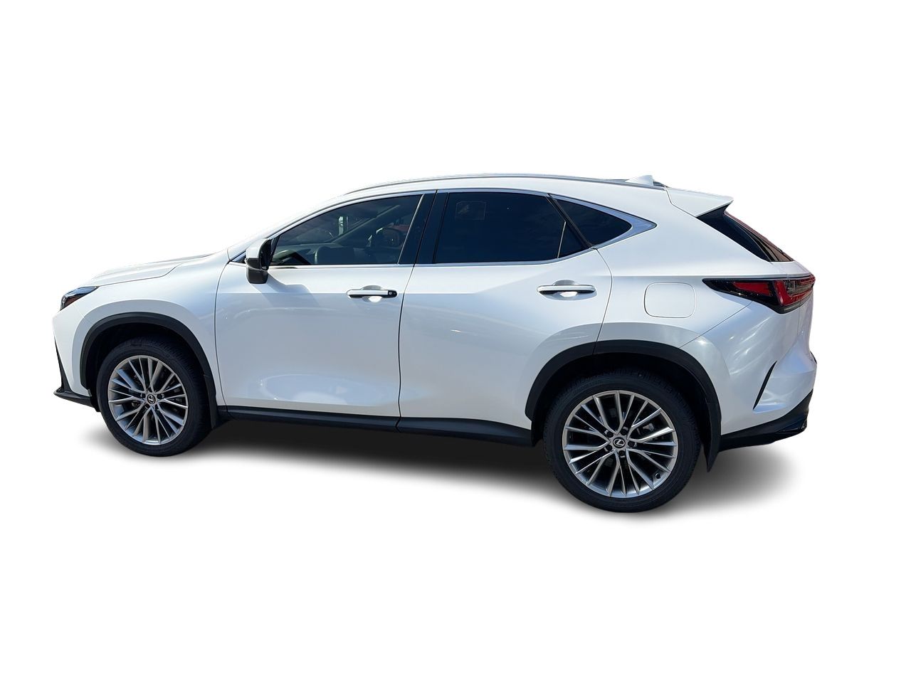 2025 Lexus NX