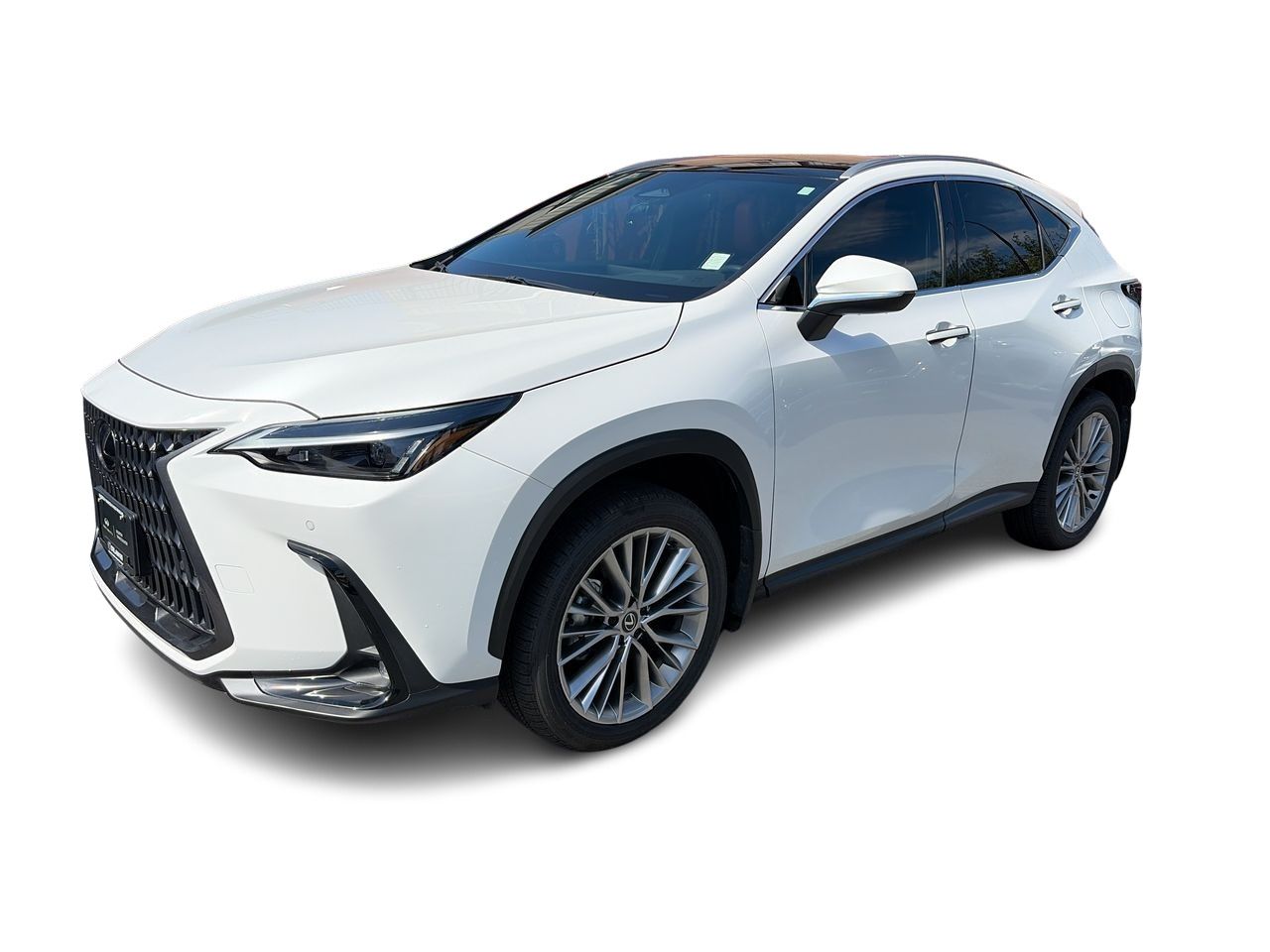 2025 Lexus NX