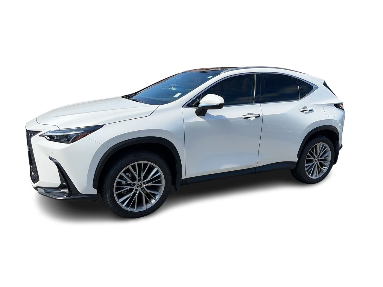 2025 Lexus NX