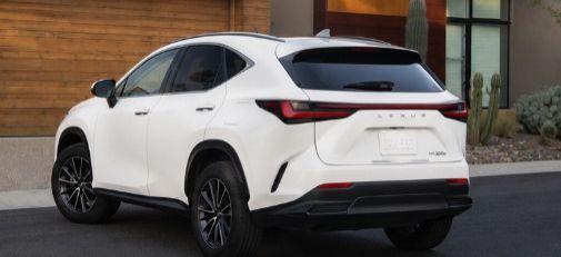 2025  NX