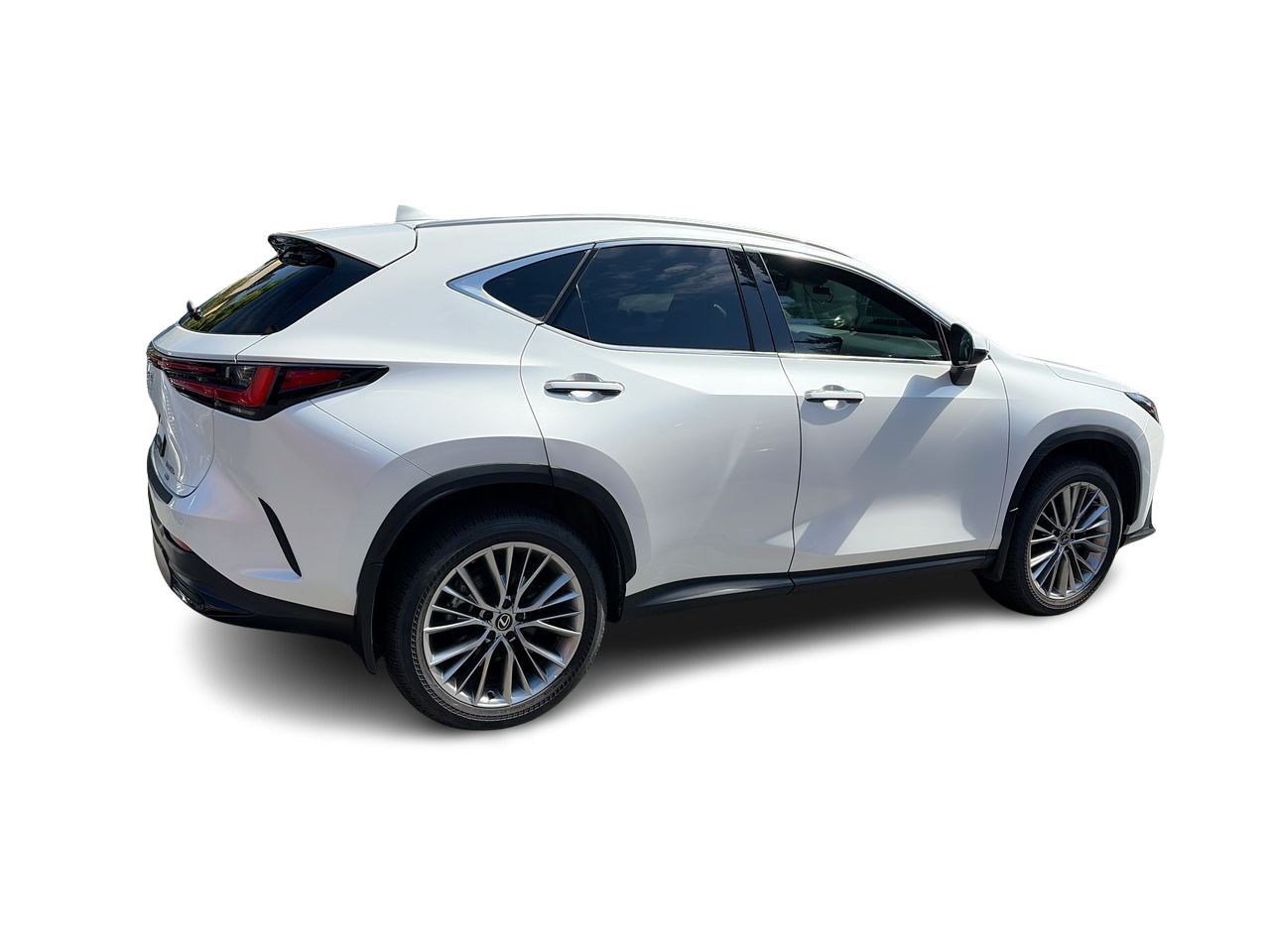 2025 Lexus NX