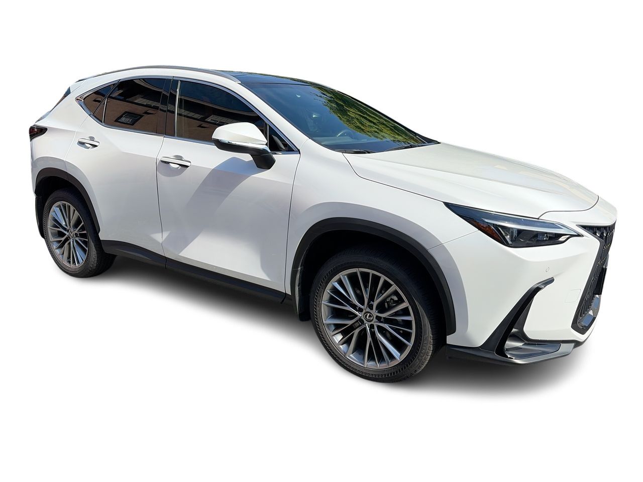 2025 Lexus NX