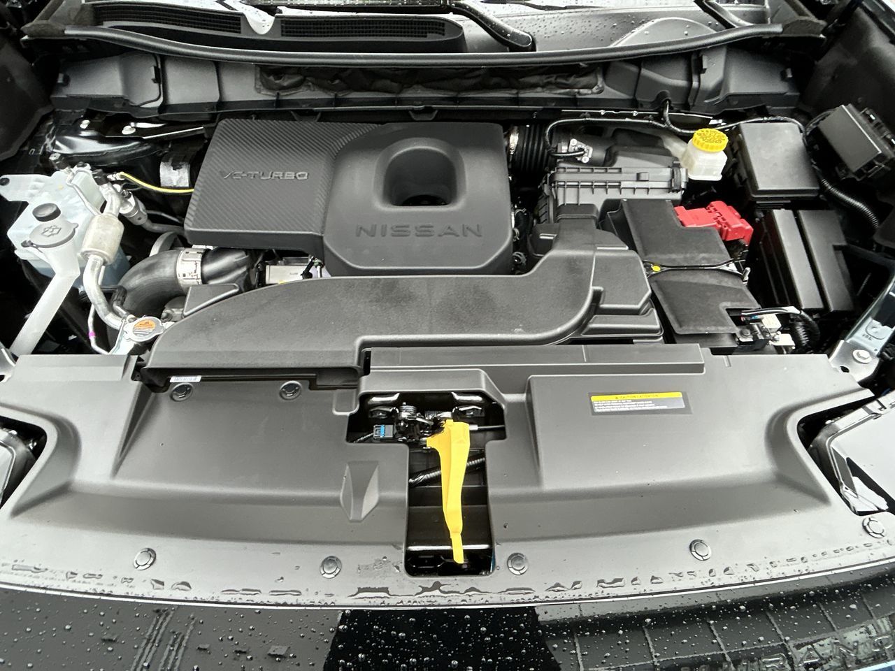 2025 Nissan Murano in North Vancouver, British Columbia