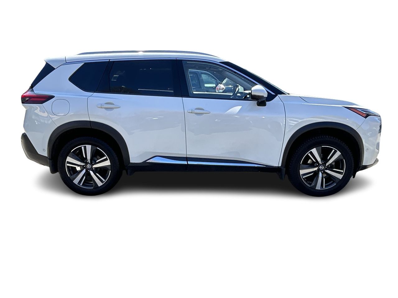 2021  Rogue