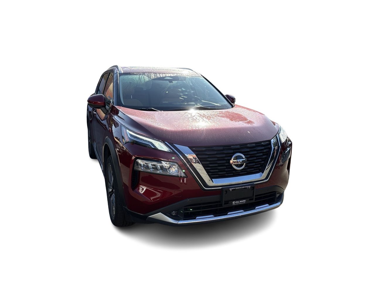 2021  Rogue